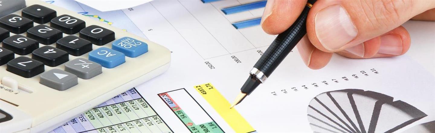 Professional School of Accounting